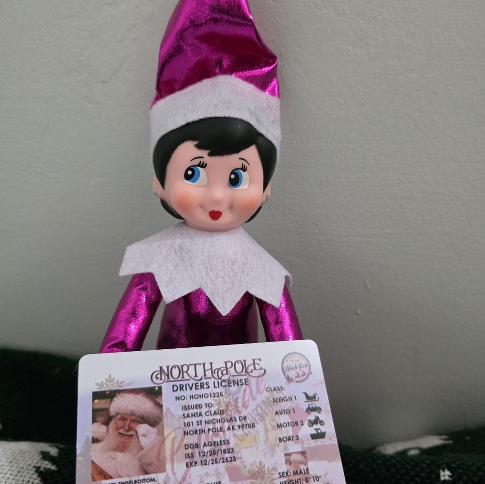 Elf on the Shelf Metallic Pink Girl + Santa's Driver's License! - Picture 2 of 9